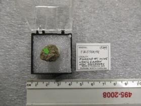 Falsterite