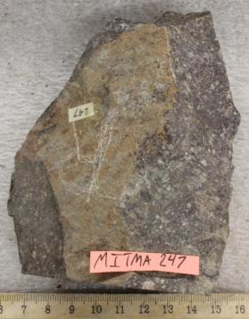 Rhyodacite