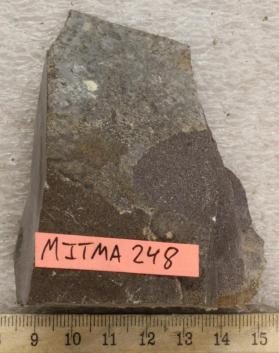 Pilotaxitic Andesite