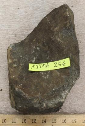 Plagioclase-Amphibolite