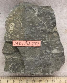 Plagioclase-Amphibolite