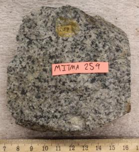 Granodiorite
