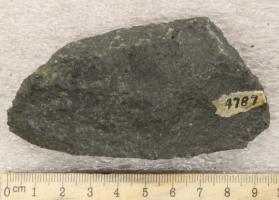 Trachyte