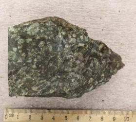 Dike? Nahant Gabbro