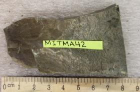 Argillite