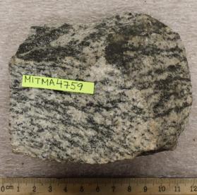 Gneissoid Andover Granite