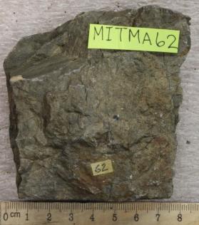 Shale