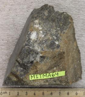 Rhyodacite