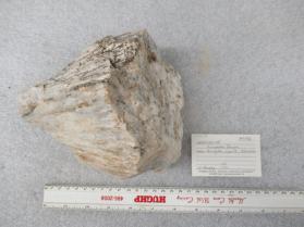 Marialite