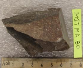 Aplite? in Granodiorite