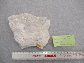 Hydromagnesite