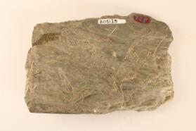 Phyllite