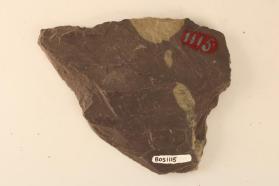 Spotted Slate
