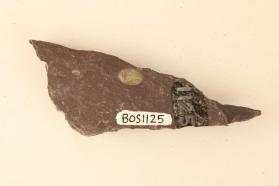 Spotted Slate