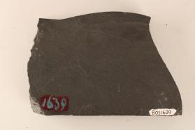 Slate