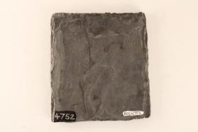 Eocene Slate