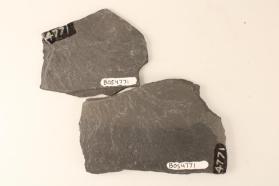 Eocene Slate