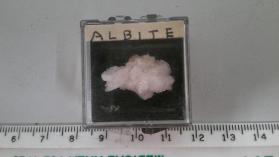 Albite