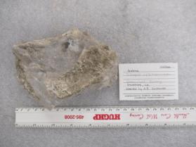 Galena with Hillebrandite