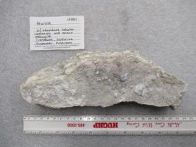 Afwillite